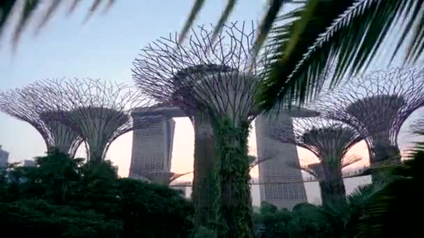 Singapore Singapore July Futuristic Illumination Garden Singapore Sunset High Quality — 图库视频影像