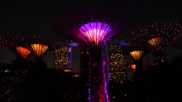 Singapore Singapore July Futuristic Illumination Garden Singapore Night High Quality — Wideo stockowe