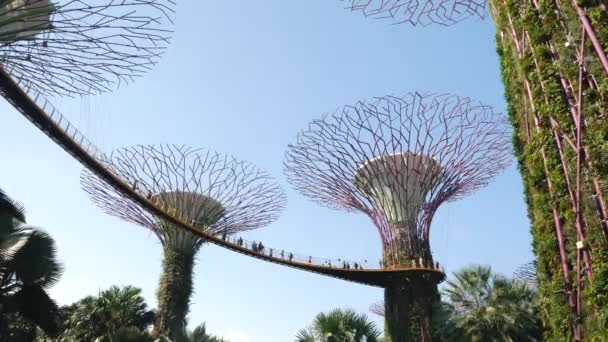 Singapore Singapore July Beautiful Sunny Day Supertree Garden Futuristic View — 图库视频影像