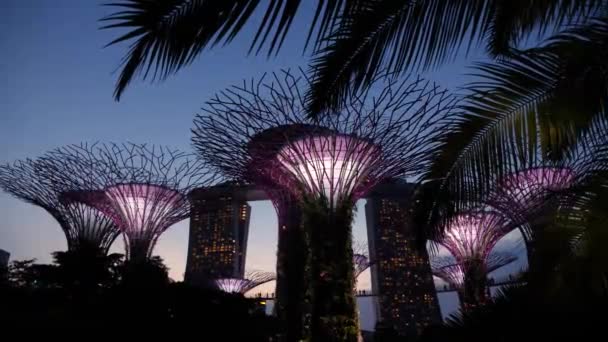 Singapore Singapore July Futuristic Illumination Garden Singapore Sunset High Quality — Stock videók