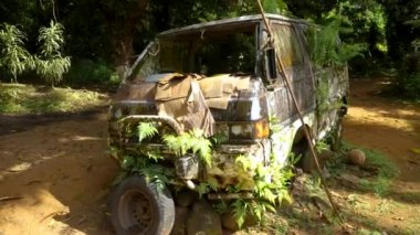 Old car parked overgrown with tropical plants somewhere in Pohnpei island in Micronesia. Small village inside a jungle. High quality 4k footage