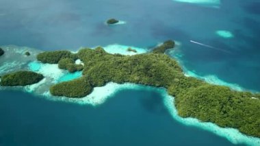 Palau, Rock Islands. Aerial footage of limestone island with Beautiful green nature and turquoise water. Ancient relics of coral reefs. Snorkeling near Koror. Visiting marine lakes in Chelbacheb