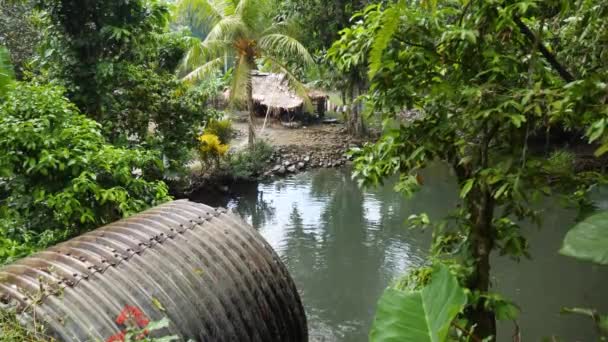 Small Village Next Canal Pohnpei Micronesia Small Lagoon Full Large — Stok video