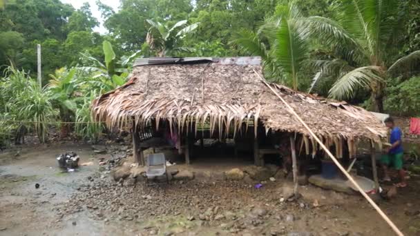 Small Village Simple Traditional House Pohnpei Micronesia High Quality Footage — стоковое видео