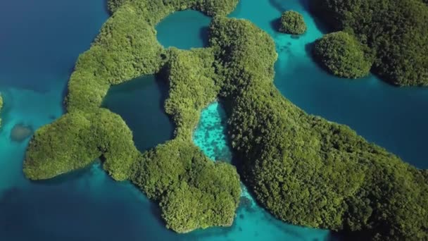 Palau Rock Islands Aerial Footage Limestone Island Beautiful Green Nature — Vídeo de stock