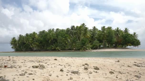 Abandoned Tropical Island Majuro Marshall Islands Abandoned Palm Island Middle — Stockvideo