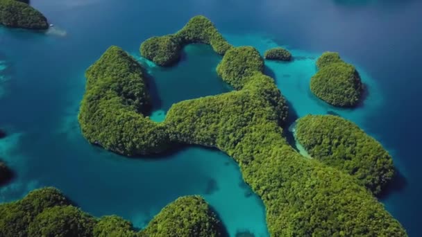 Palau Rock Islands Aerial Footage Limestone Island Beautiful Green Nature — Αρχείο Βίντεο