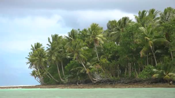 Abandoned Tropical Island Majuro Marshall Islands Abandoned Palm Island Middle — Stockvideo