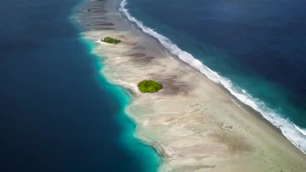 Majuro Marshall Islands Small Tropical Uninhabited Island Middle Pacific Ocean — Wideo stockowe