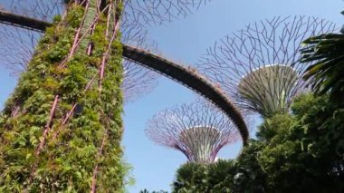 Singapore, Singapore - July 23, 22: Beautiful sunny day. Supertree Garden. Futuristic view of amazing Garden in Singapore.