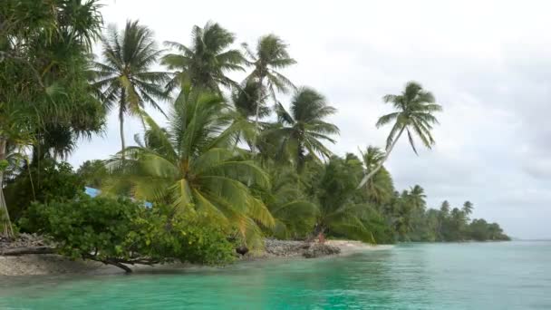 Abandoned Tropical Island Majuro Marshall Islands Abandoned Palm Island Middle — 图库视频影像