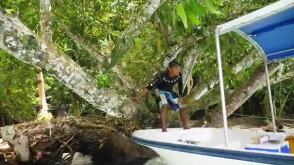 Rock Island Palau July Palauan Sailor Anchors Our Boat Dense — Αρχείο Βίντεο