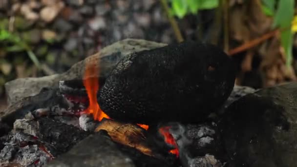 Exotic Fruit Jackfruit Cooking Strong Fire Pohnpei Micronesia High Quality — Stockvideo