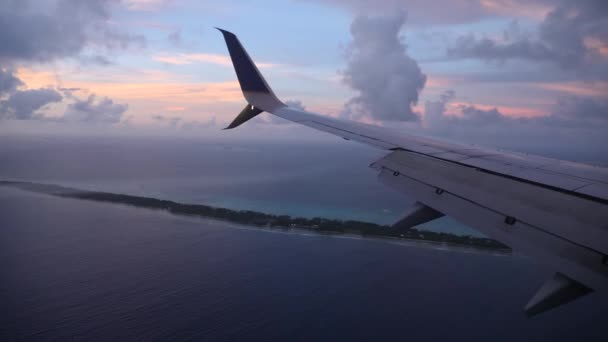 Landing Sunset Abandoned Tropical Island Majuro Marshall Islands Abandoned Palm — 图库视频影像