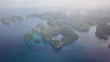 Palau, Rock Islands. Aerial footage of limestone island with Beautiful green nature and turquoise water. Ancient relics of coral reefs. Snorkeling near Koror. Visiting marine lakes in Chelbacheb