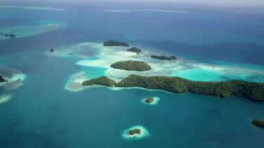 Palau, Rock Islands. Aerial footage of limestone island with Beautiful green nature and turquoise water. Ancient relics of coral reefs. Snorkeling near Koror. Visiting marine lakes in Chelbacheb