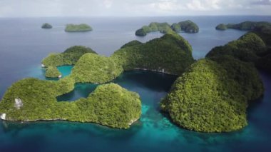 Palau, Rock Islands. Aerial footage of limestone island with Beautiful green nature and turquoise water. Ancient relics of coral reefs. Snorkeling near Koror. Visiting marine lakes in Chelbacheb
