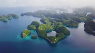 Palau, Rock Islands. Aerial footage of limestone island with Beautiful green nature and turquoise water. Ancient relics of coral reefs. Snorkeling near Koror. Visiting marine lakes in Chelbacheb