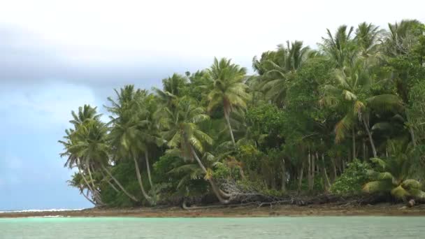 Abandoned Tropical Island Majuro Marshall Islands Abandoned Palm Island Middle — 图库视频影像
