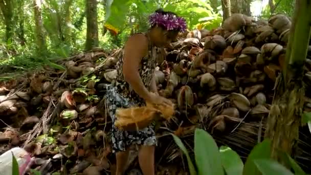 Понпей Микронезия Июля Микронезийская Местная Женщина Убирает Кокосы Джунглях Небольшая — стоковое видео