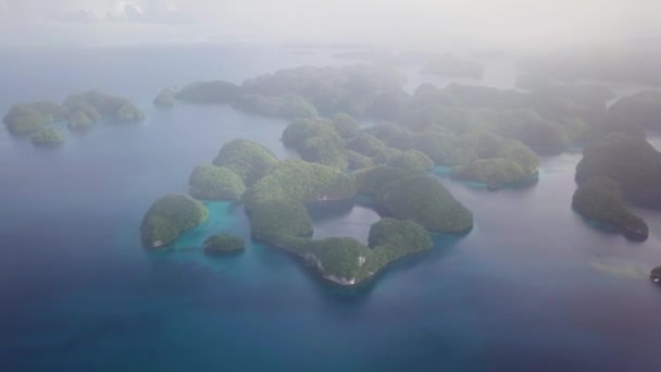 Palau Rock Islands Aerial Footage Limestone Island Beautiful Green Nature — Vídeos de Stock