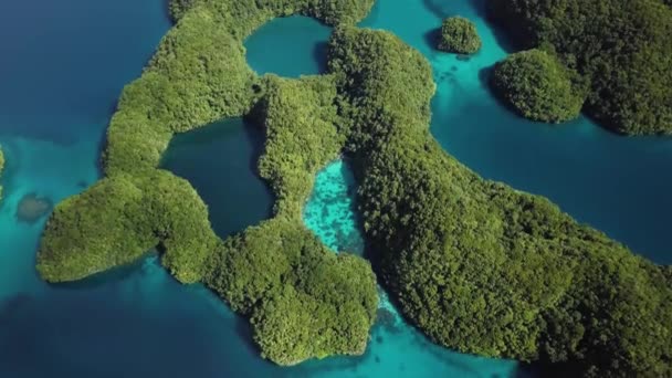 Palau Rock Islands Aerial Footage Limestone Island Beautiful Green Nature — 비디오