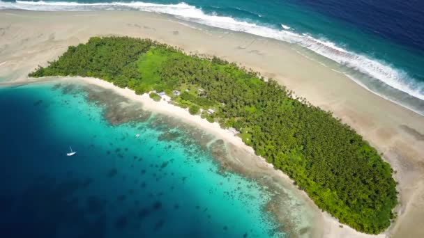 Eneko Atoll Majuro Marshall Islands Small Tropical Uninhabited Island Middle — 图库视频影像