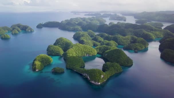 Palau Rock Islands Aerial Footage Limestone Island Beautiful Green Nature — стоковое видео