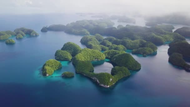 Palau Rock Islands Aerial Footage Limestone Island Beautiful Green Nature — Vídeos de Stock
