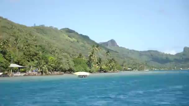 Turquoise Blue Lagoon Bora Bora Tahiti French Polynesia Cruising Yacht — Wideo stockowe