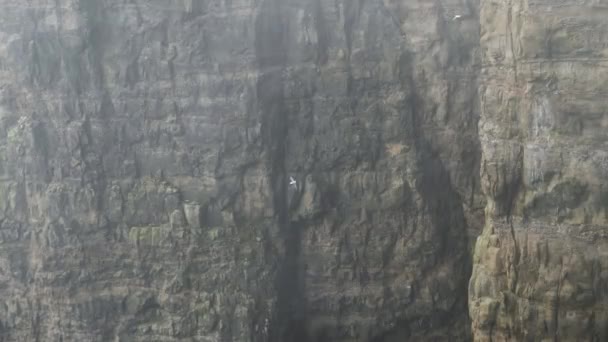 Beautiful View Foggy Traelanipan Slave Mountain Vagar Faroe Islands Перпендикулярна — стокове відео