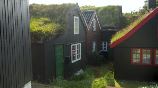 Typical Faroese Houses People Live Torshavn Faroe Islands Houses Grass — Vídeos de Stock