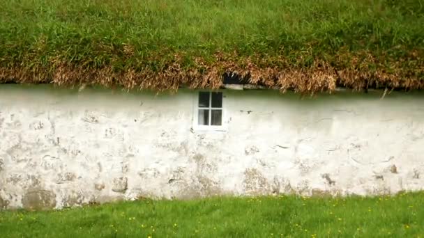 Old Faroese House Small Window Grass Rooftop Typical Old House — Vídeos de Stock