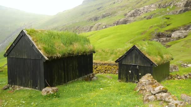 Old Faroese Houses Middle Nature Typical Old House Faroe Islands — Vídeo de stock