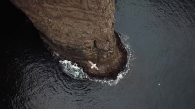 Faroe Adaları 'ndaki Traelanipan ya da köle uçurumunun insansız hava aracı görüntüsü. Büyük kayalıklar. Dikey kaya duvarı. İnanılmaz bir doğa. Yüksek kalite 4k görüntü. 