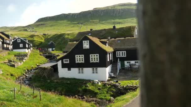 Traditionele Faroese Huizen Mykines Island Faeröer Hoge Kwaliteit Beeldmateriaal — Stockvideo