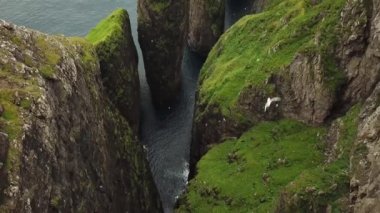 Faroe Adaları, Dunnesdrangar 'ın insansız hava aracı görüntüsü. İnanılmaz doğa, Faroe Adaları 'ndaki büyük kayalıklar ve dağlar. Vagar Adası. Bir sürü uçan deniz kuşu. Yazın güneşli bir gün. Yüksek kalite 4k görüntü. 