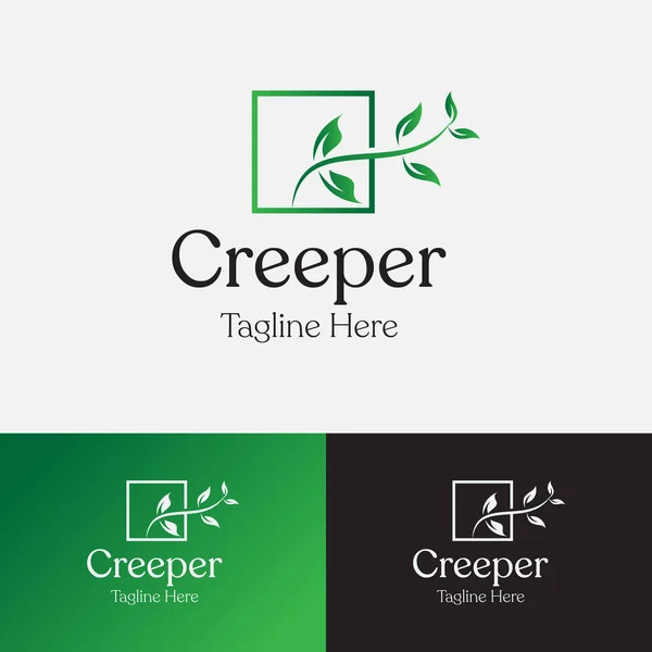 Creeper Logo Design Template Twisted Jungle Vines Liana Plant Cowslip — Vettoriale Stock