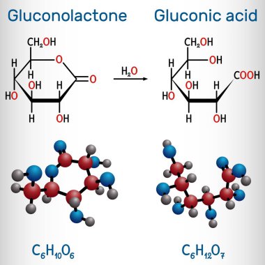 Glucono-delta-lactone (glukonolakton, GDL) ve glukonik asit molekülü. Bu PHA, polihidroksi asitler. Yapısal kimyasal formül ve molekül modeli. Vektör illüstrasyonu