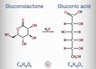 Glucono-delta-lactone (glukonolakton, GDL) ve glukonik asit molekülü. Bu PHA, polihidroksi asitler. İskelet kimyasal formülü. Kafesteki bir kağıt parçası. Vektör illüstrasyonu