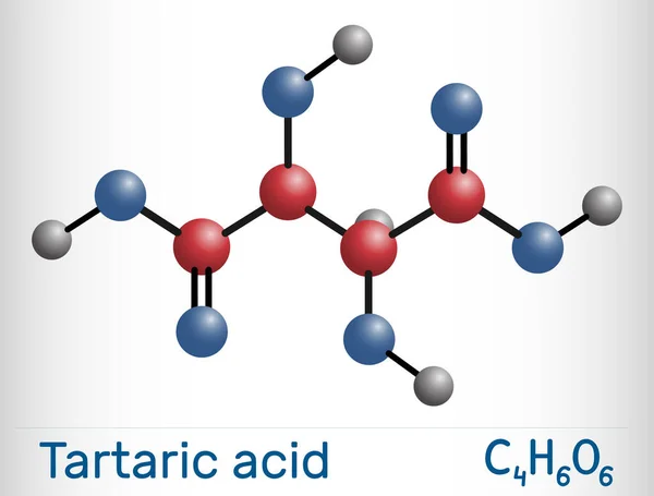 酒石酸 酒石酸 酒石酸分子 它是抗氧化剂E334 羟基酸Aha 分子模型 矢量说明 — 图库矢量图片