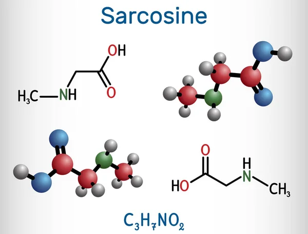 Sarcosina Metilglicina Alquilglicina Molécula Derivado Del Aminoácido Ácido Conjugado Del — Vector de stock