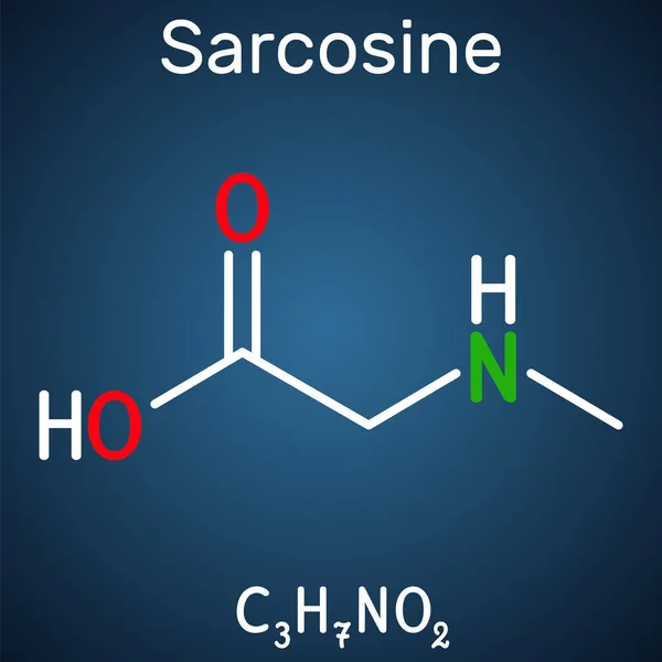 Sarcosina Metilglicina Alquilglicina Molécula Derivado Del Aminoácido Ácido Conjugado Del — Vector de stock