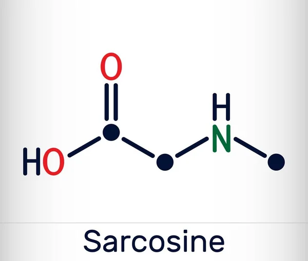 Sarcosina Metilglicina Molécula Alquilglicina Derivado Ácido Aminado Ácido Conjugado Sarcosinate —  Vetores de Stock