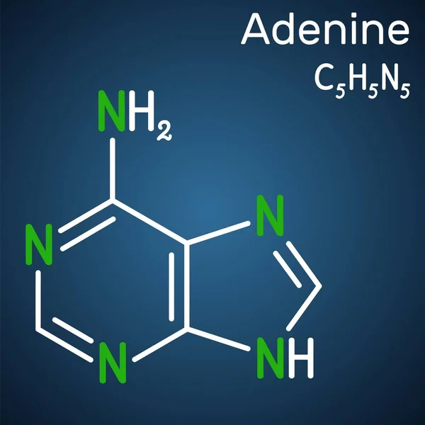 Adenina Molecola Ade Purina Nucleobase Unità Fondamentale Del Codice Genetico — Vettoriale Stock