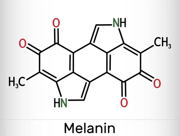 Молекула Меланина Полимеры Производных Тирозина Содержащиеся Вызывающие Темноту Коже Пигментация — стоковый вектор