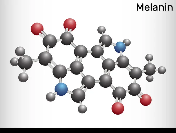 Molécula Melanina Polímeros Derivados Tirosina Que Encuentran Causan Oscuridad Piel — Vector de stock