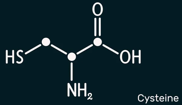 Cystein Cys Proteinogen Aminosyramolekyl Strukturkemisk Formel Mörkblå Bakgrund Vektorillustration — Stockfoto