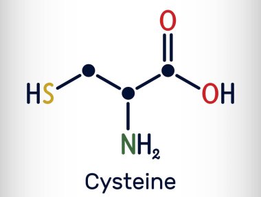 Sistemin, Cys, proteojenik amino asit molekülü. İskelet kimyasal formülü. Vektör illüstrasyonu