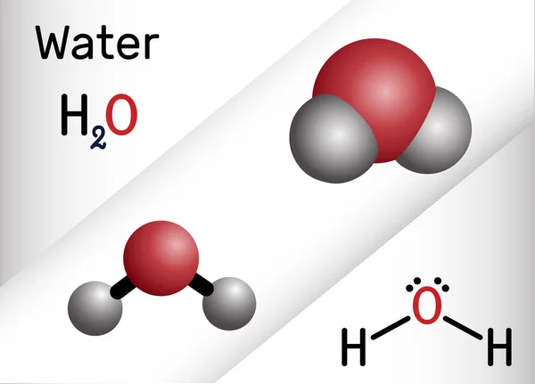 H2O Hoh分子 它是无机羟基化合物 由一个氧原子和两个氢原子组成的氧氢化物 结构化学公式和球棒模型 矢量说明 — 图库矢量图片